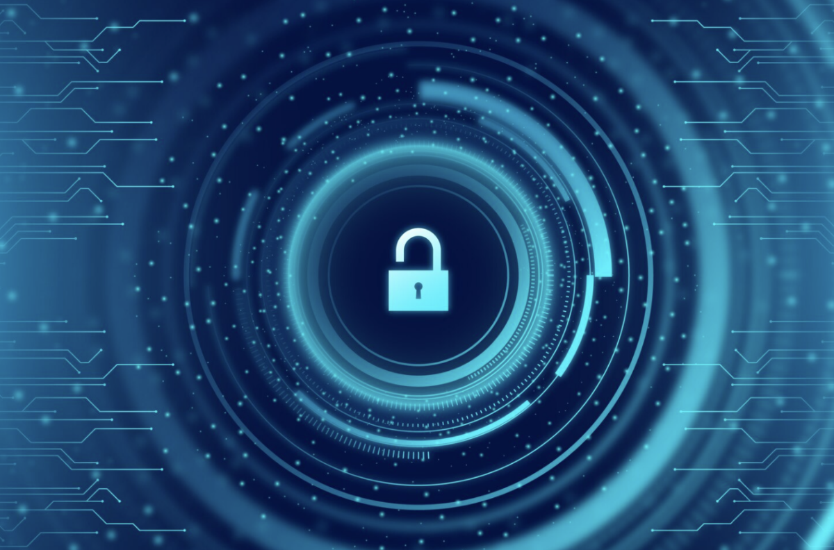 Resiliencia digital a propósito de los esquemas y/o protocolos de ciberseguridad en las empresas.